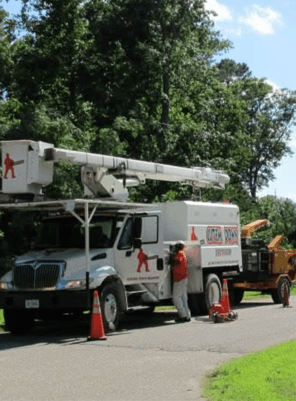 Other photo — Cut ‘Em Down Tree Service
