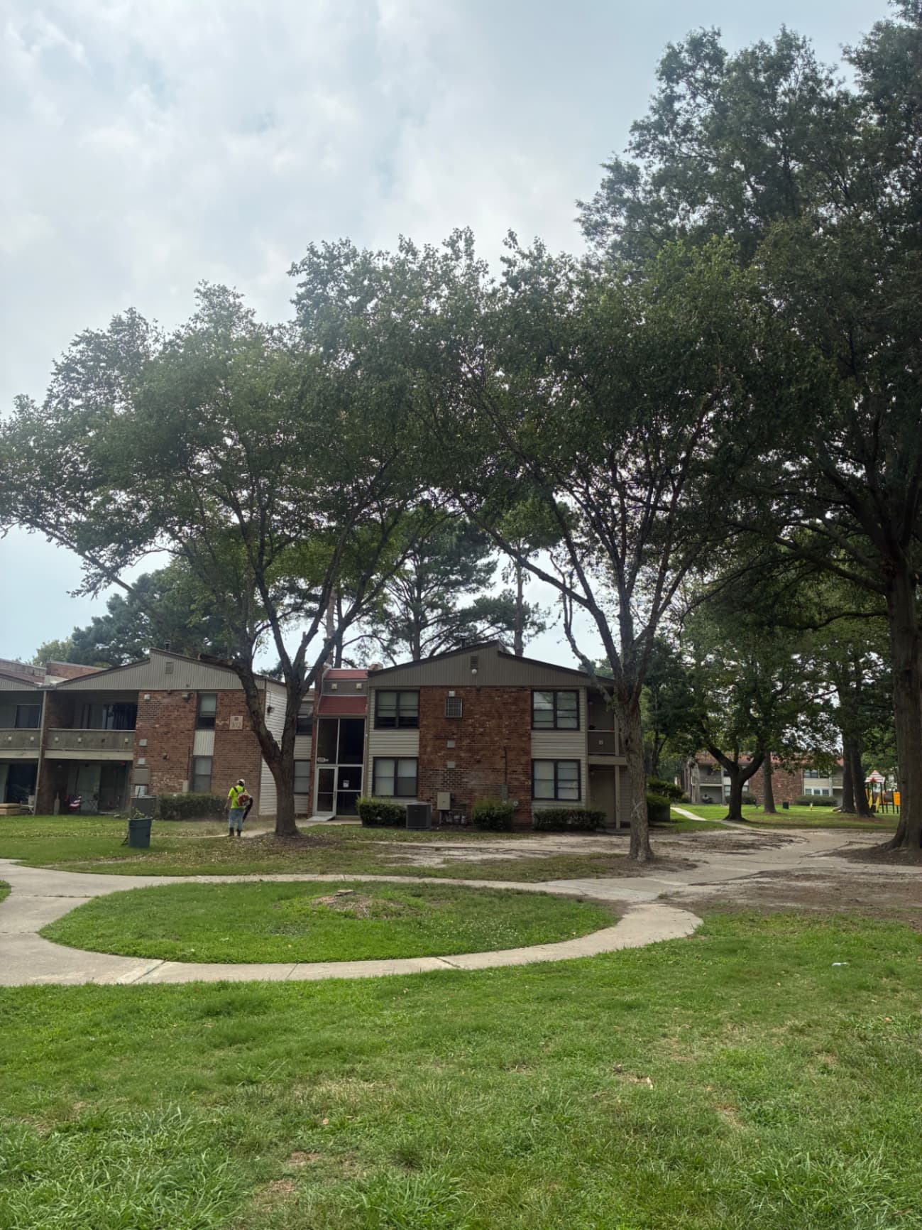 Tree Removal photo — Cut ‘Em Down Tree Service
